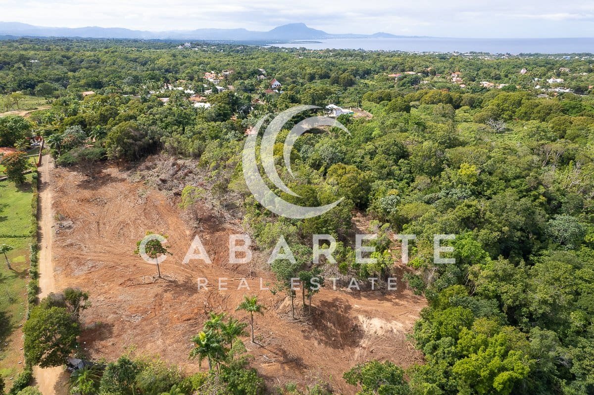 Terrain résidentiel dans un cadre tropical 3