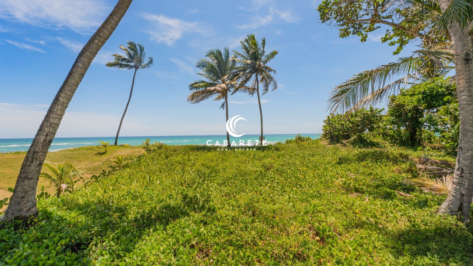 4 Bedroom Villa For Sale Cabarete East Outside Terrain verdoyant en pleine nature à côté d'une maison de 4 chambres à coucher en bord de mer à vendre à Cabarete, Puerto Plata, avec un aménagement paysager tropical dynamique.