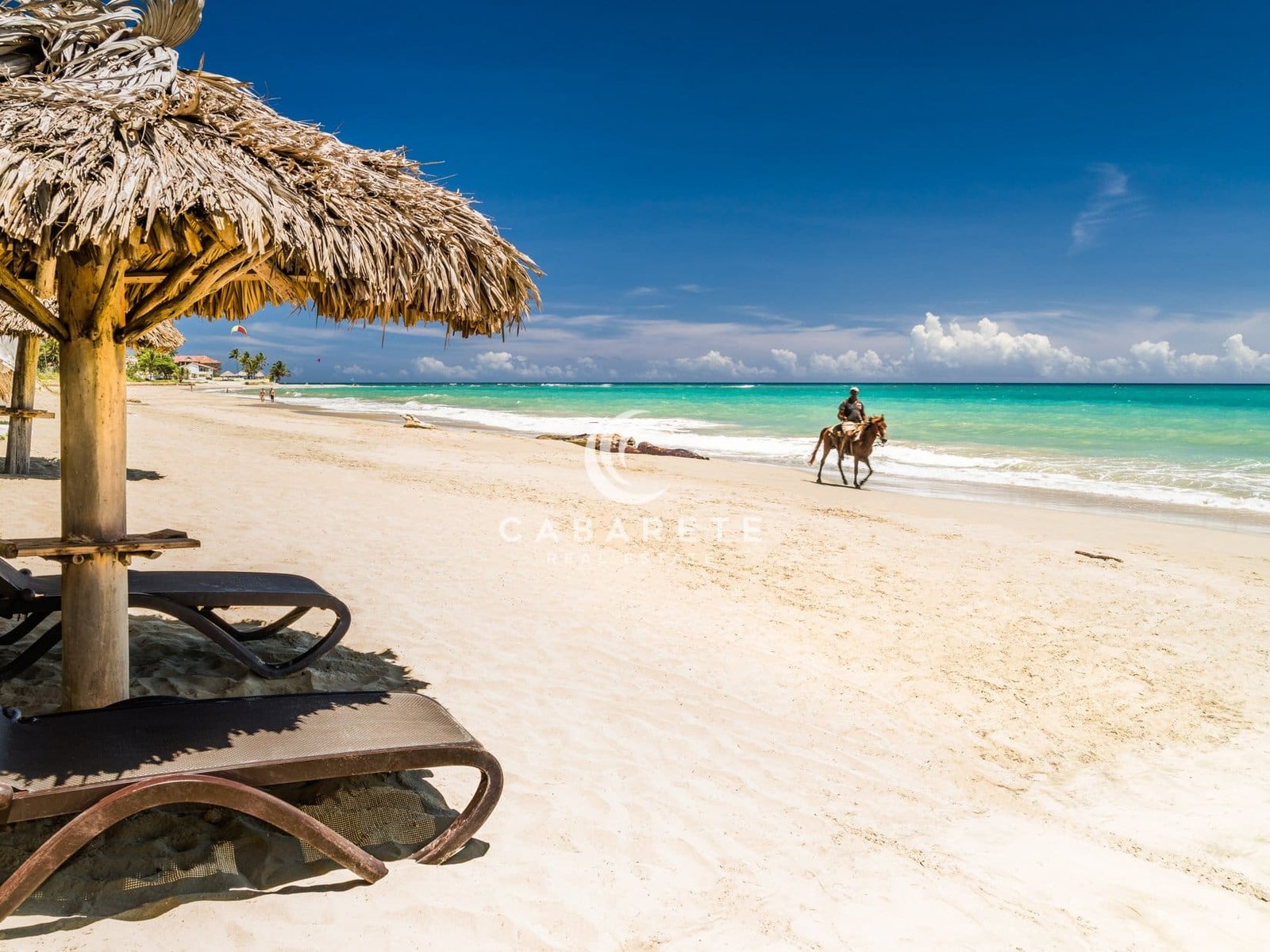 Spacious Beachfront Cabarete Condo Oceanview