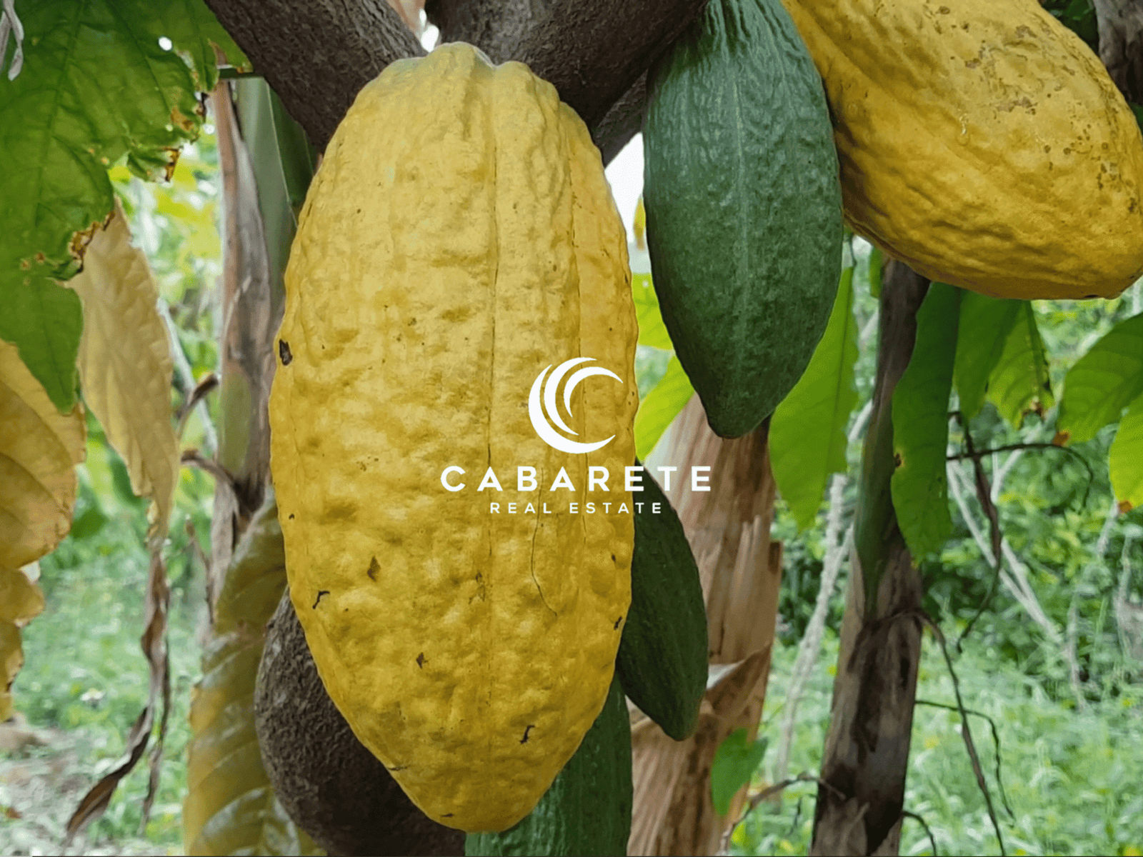Farm for sale in the Dominican Republic with established agriculture and strong eco-tourism development opportunities